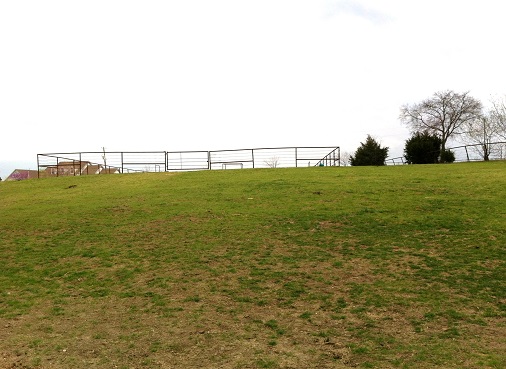 Arena