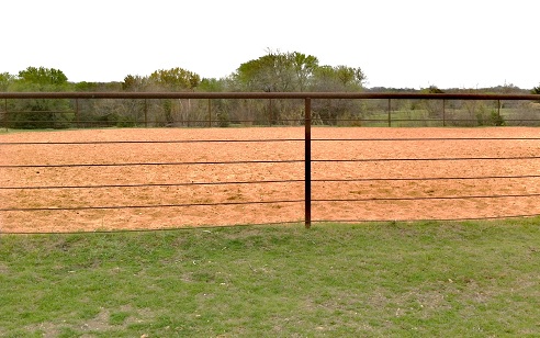 Arena